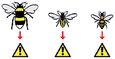 Bumble Bee - BeeAware Allergy